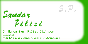 sandor pilisi business card